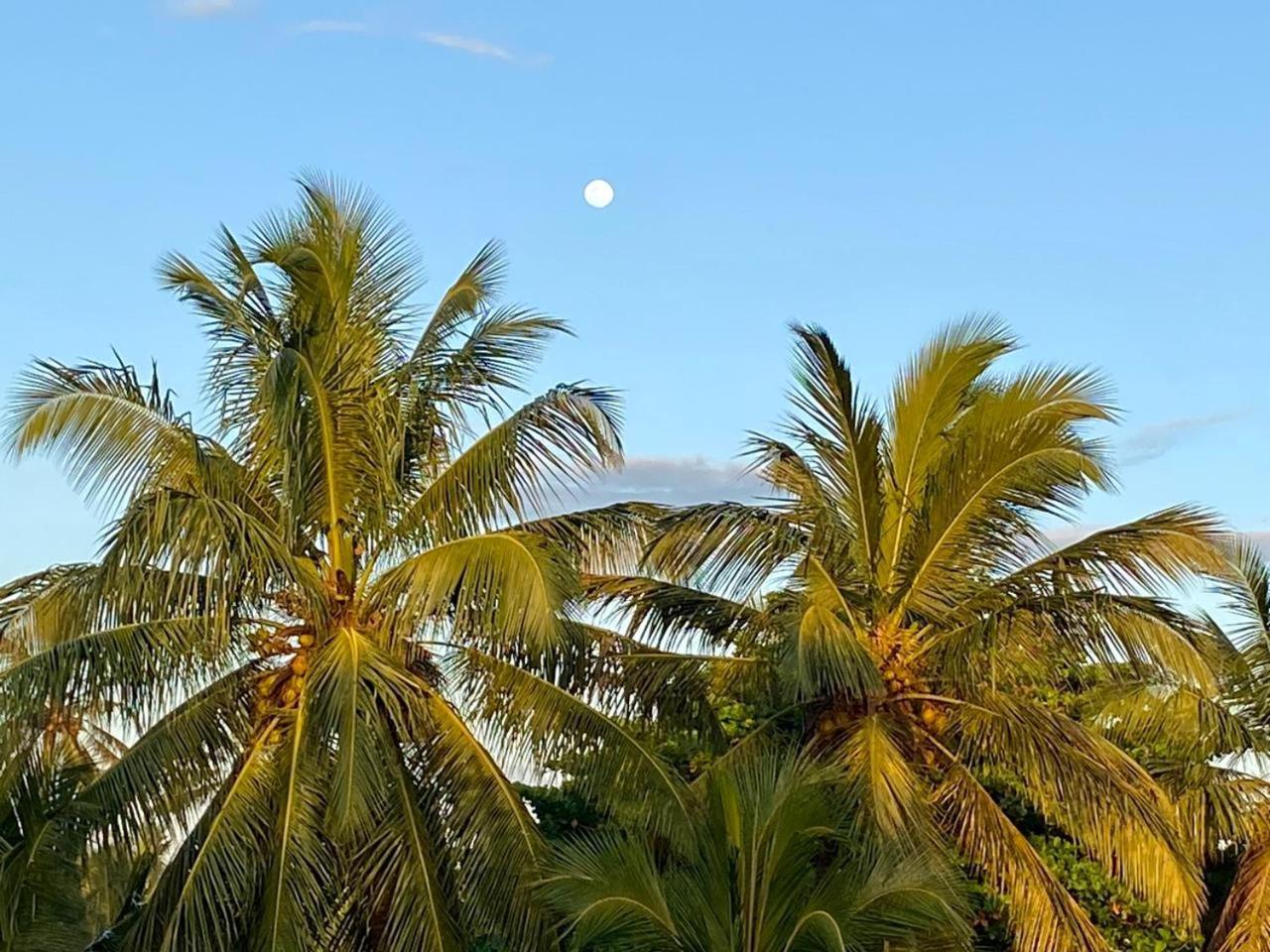 Sasagara Beach Villa 坦加拉 外观 照片